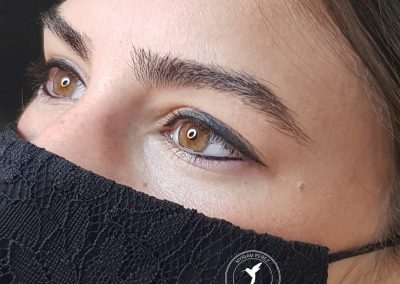 Micropigmentación de cejas